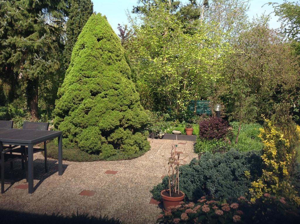 B&B Molenzicht Warnsveld Εξωτερικό φωτογραφία