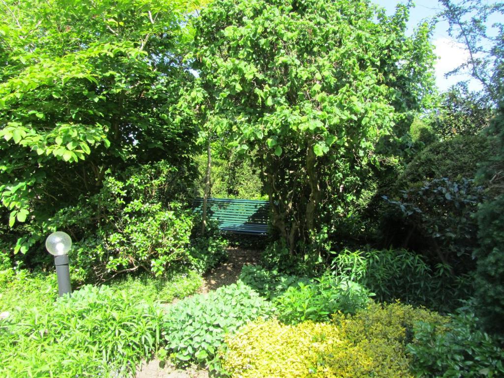 B&B Molenzicht Warnsveld Εξωτερικό φωτογραφία